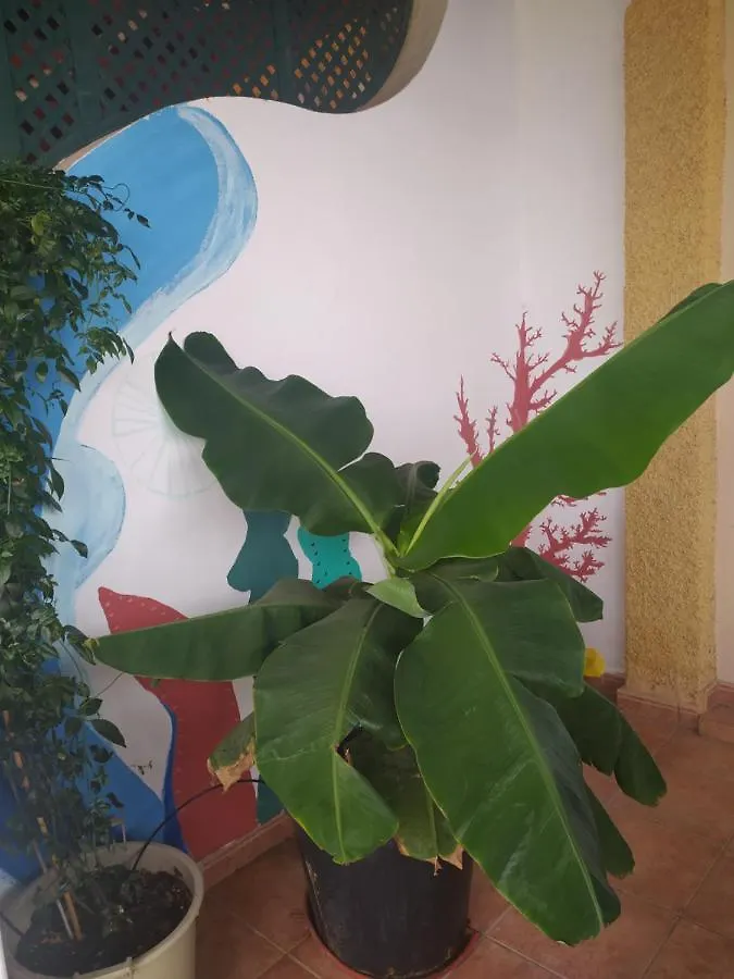 Сasa de vacaciones Enjoy Fuerteventura Villa Morro Jable